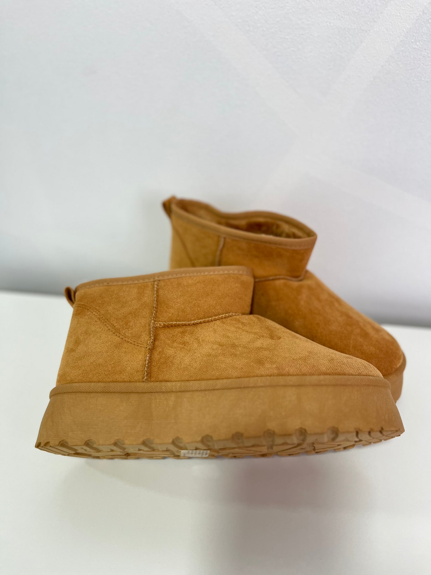 Pantubota Camel