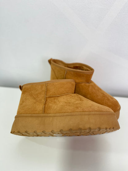 Pantubota Camel