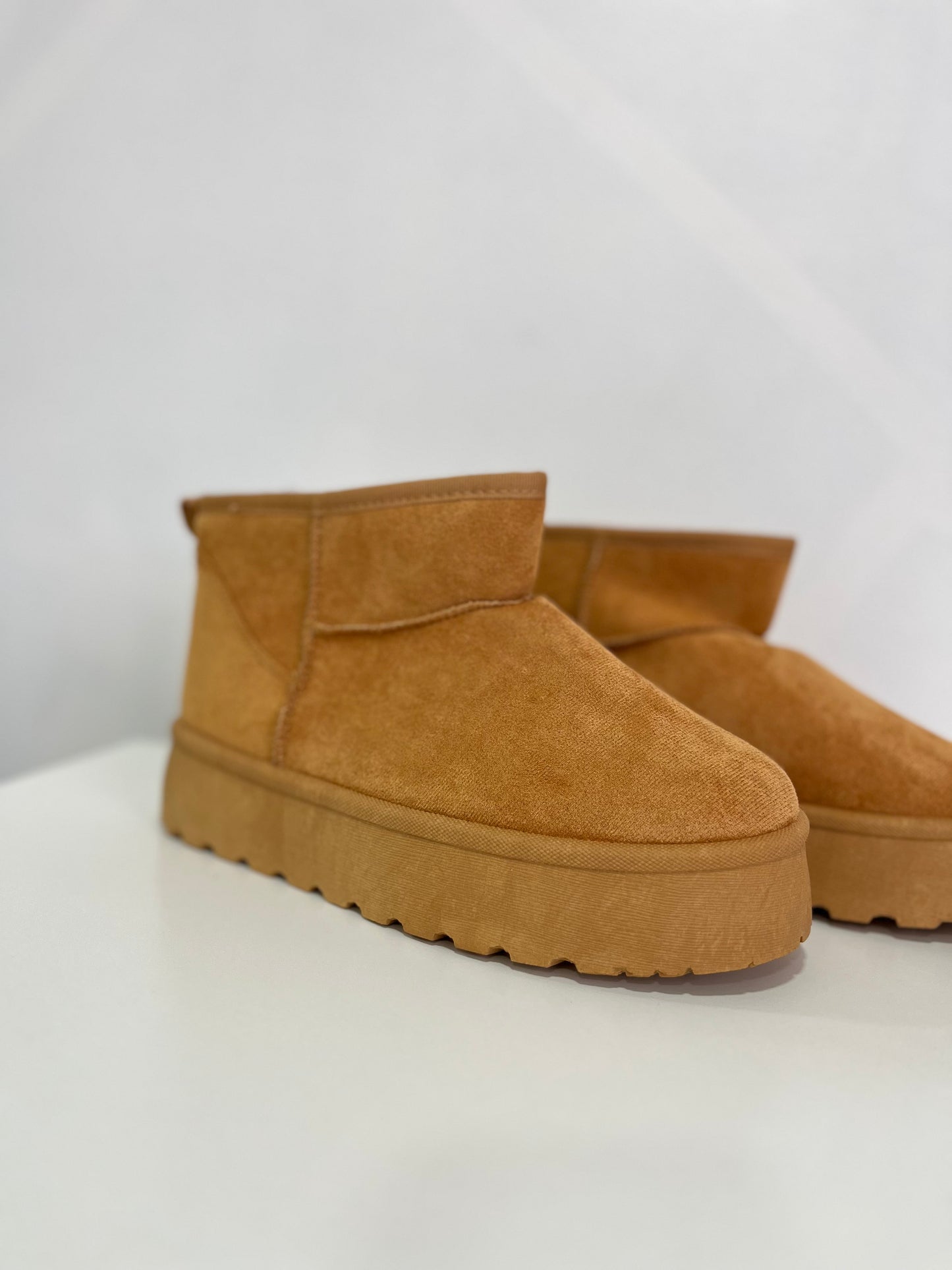 Pantubota Camel