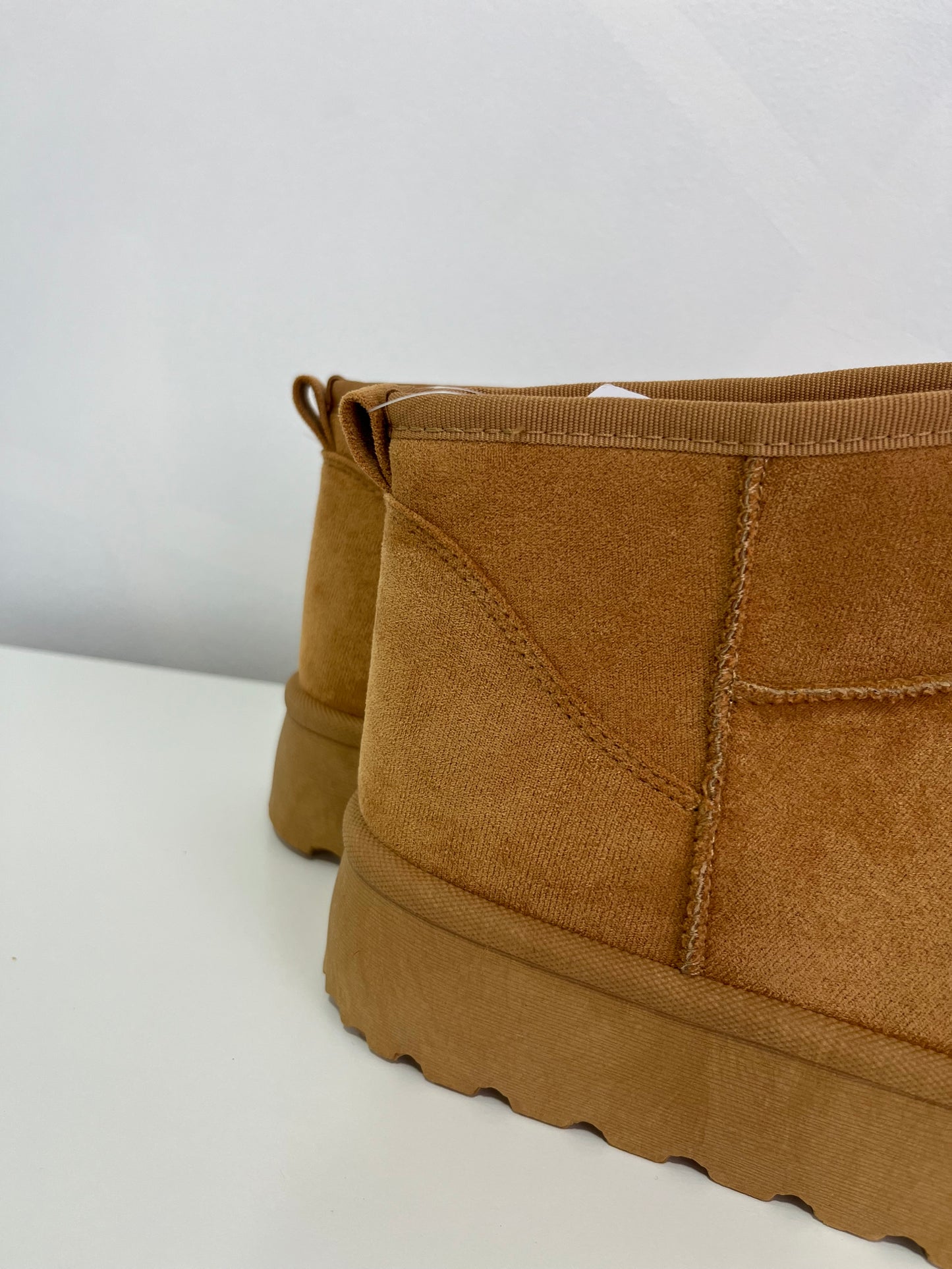 Pantubota Camel