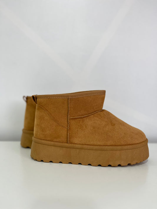 Pantubota Camel