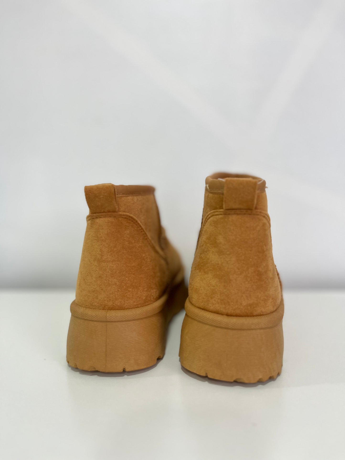 Pantubota Camel